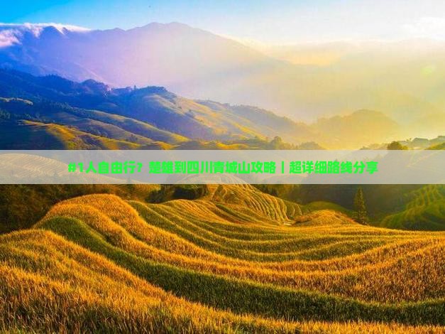 楚雄去四川青城山自由行