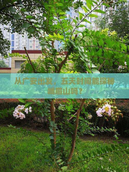 广安到四川峨眉山五日游