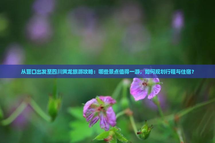 营口到四川黄龙哪里玩