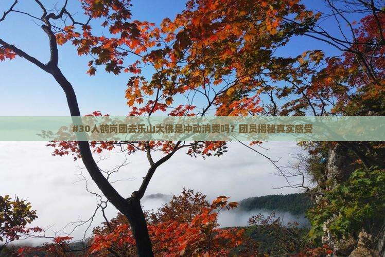 鹤岗去四川乐山大佛大型旅游团