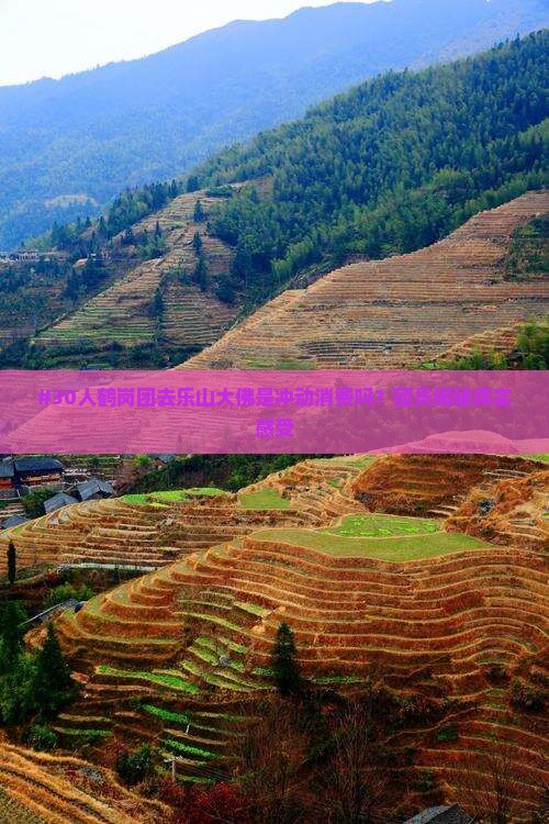 鹤岗去四川乐山大佛大型旅游团