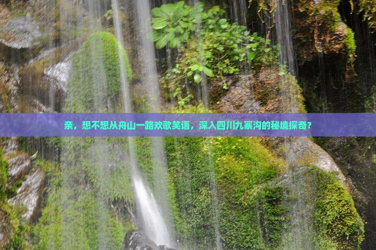 舟山到四川九寨沟旅游