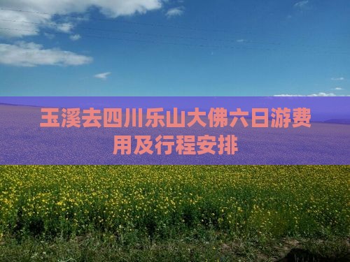 玉溪去四川乐山大佛六日游