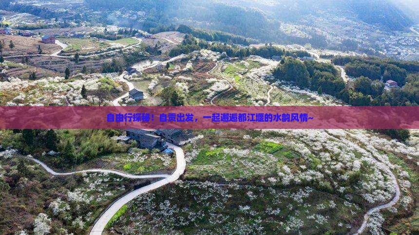 自贡去四川都江堰自由团