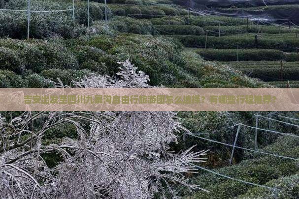 吉安到四川九寨沟自由团