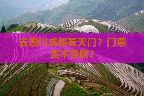 天门去四川成都门票