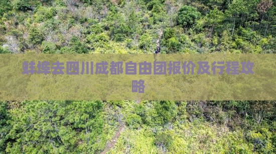 蚌埠去四川成都自由团