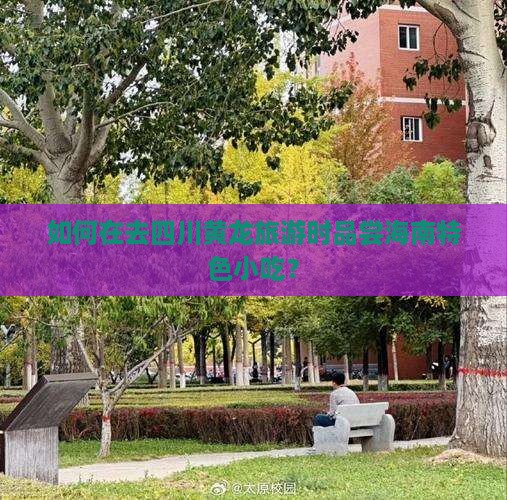 海南省直辖去四川黄龙旅游小吃