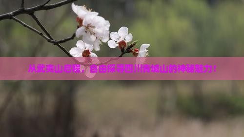 武夷山去四川青城山自由行