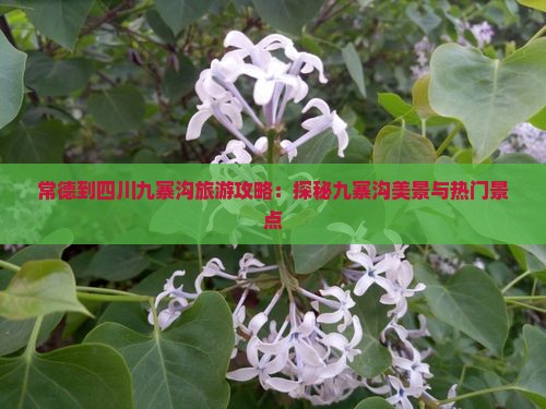 常德去四川九寨沟自由团