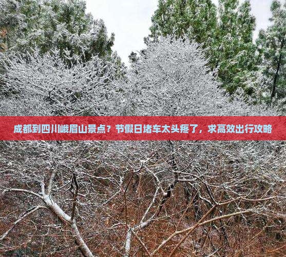成都到四川峨眉山景点