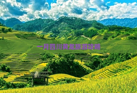 一月到四川黄龙旅行社
