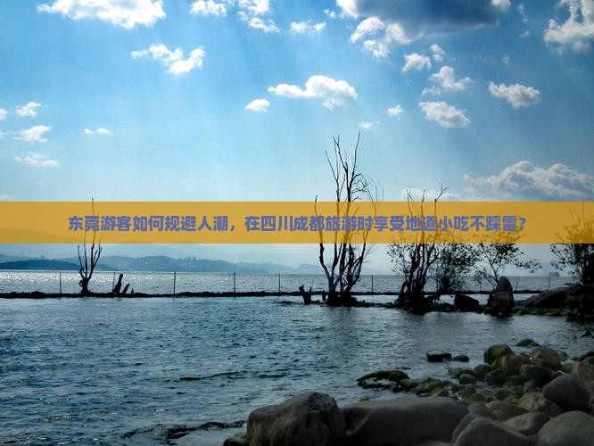 东莞去四川成都旅游小吃