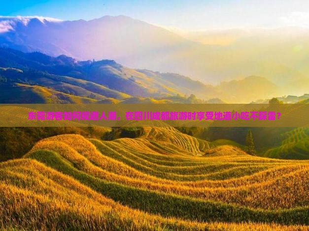 东莞去四川成都旅游小吃