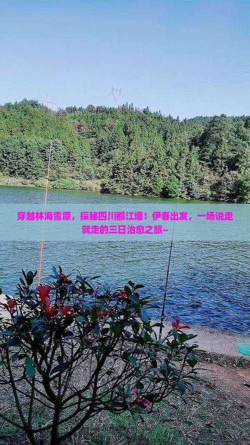 伊春到四川都江堰三日游