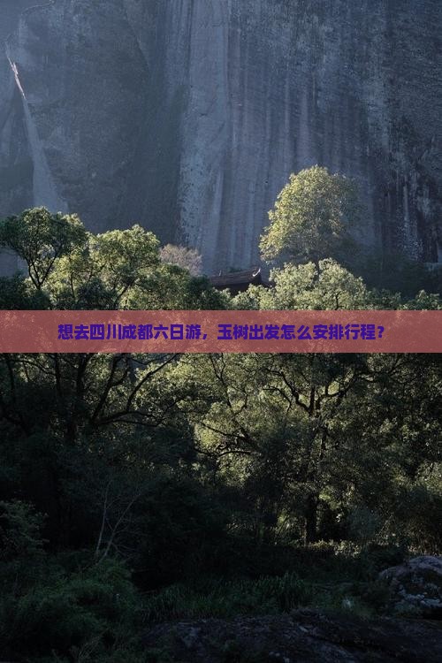 玉树去四川成都六日游
