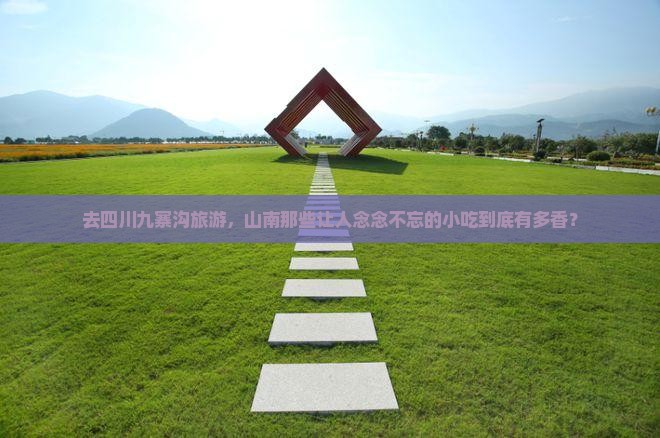 山南去四川九寨沟旅游小吃