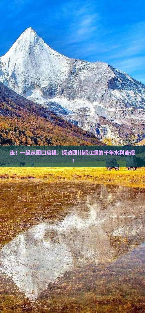 周口到四川都江堰旅游