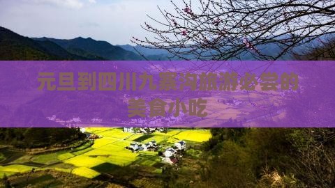 元旦到四川九寨沟旅游小吃