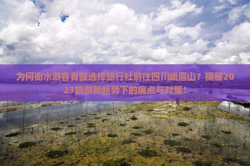 衡水到四川峨眉山旅行社 衡水到四川峨眉山旅行社