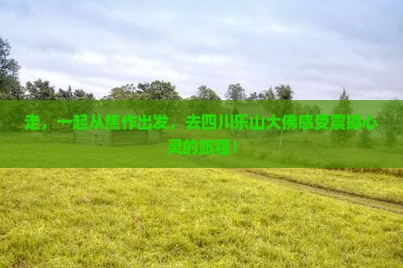 焦作到四川乐山大佛哪里玩