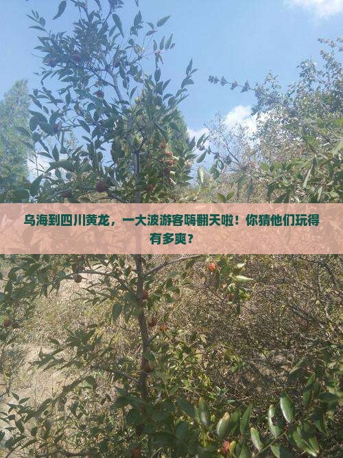乌海到四川黄龙大型旅游团