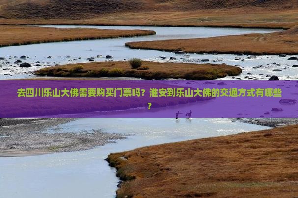 淮安去四川乐山大佛门票