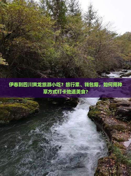 伊春到四川黄龙旅游小吃