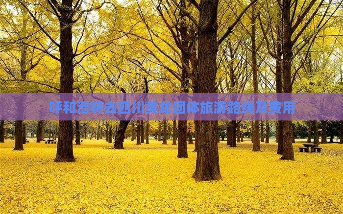 呼和浩特去四川黄龙团体旅游