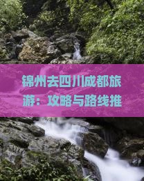 锦州去四川成都旅游