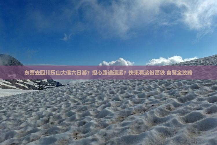 东营去四川乐山大佛六日游