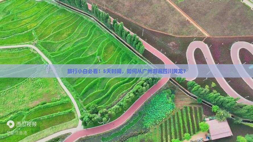 广州到四川黄龙五日游