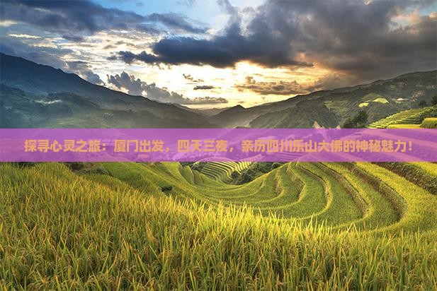 厦门到四川乐山大佛四日游