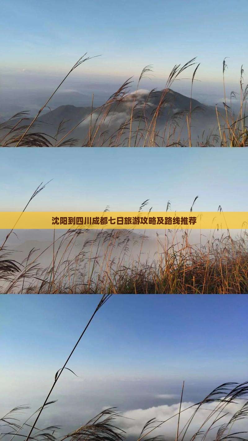 沈阳去四川成都七日游