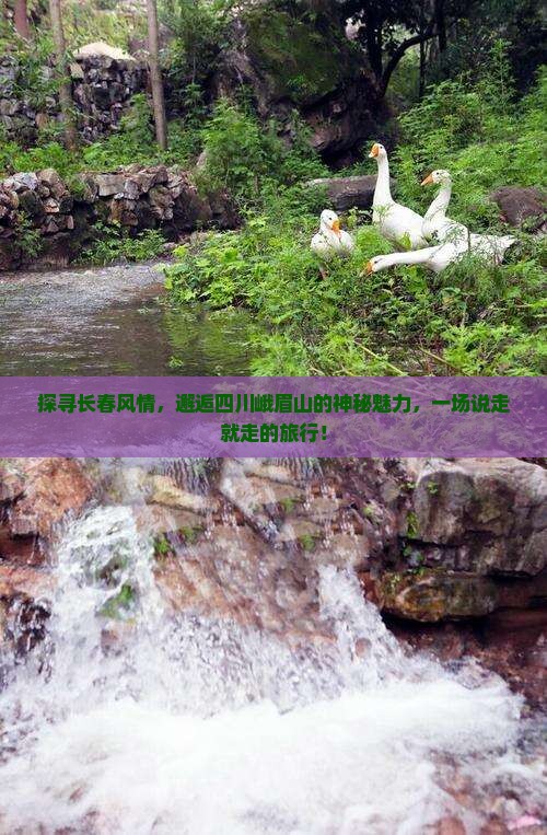 长春到四川峨眉山旅游