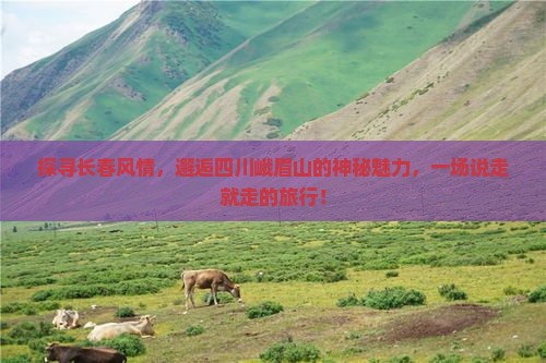 长春到四川峨眉山旅游