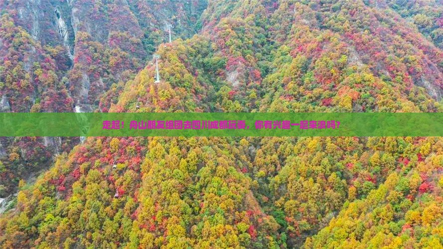 舟山去四川成都大型旅游团 舟山去四川成都大型旅游团