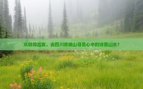 蚌埠到四川青城山旅游