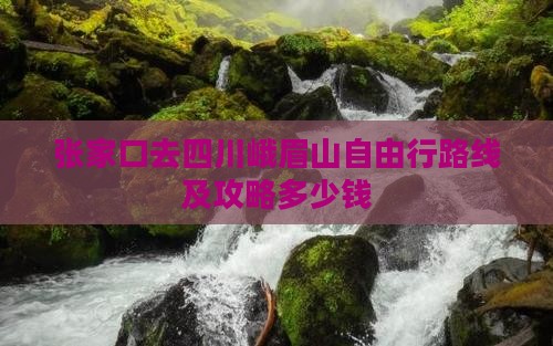 张家口去四川峨眉山自由行