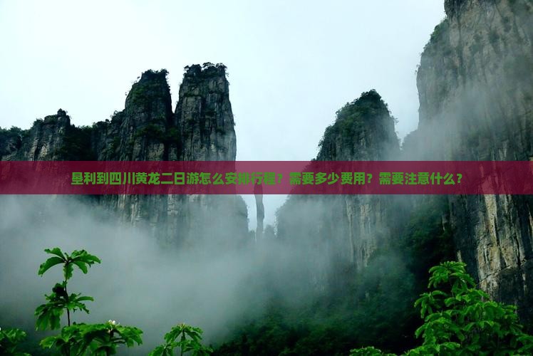 垦利到四川黄龙二日游
