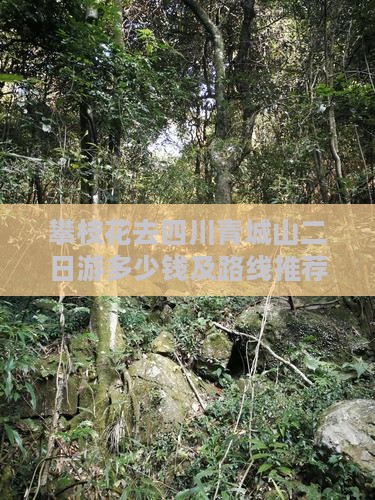 攀枝花去四川青城山二日游