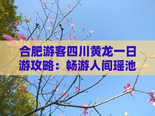 合肥到四川黄龙一日