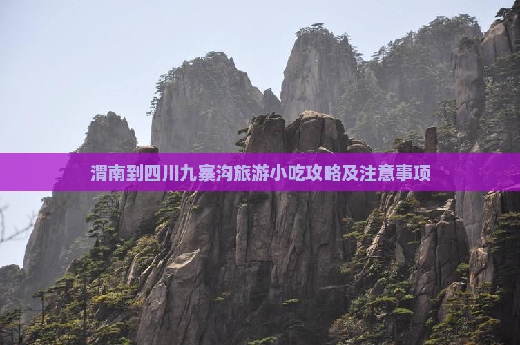 渭南到四川九寨沟旅游小吃