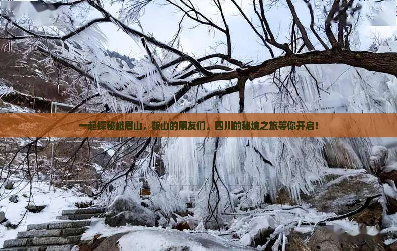 鞍山去四川峨眉山团体旅游