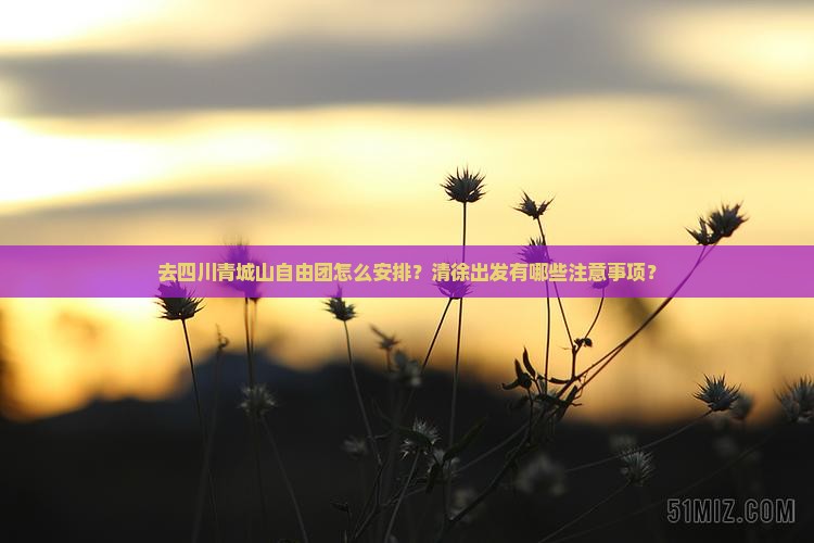 清徐去四川青城山自由团