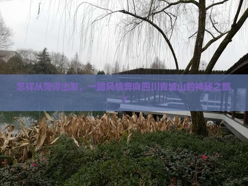 菏泽去四川青城山攻略