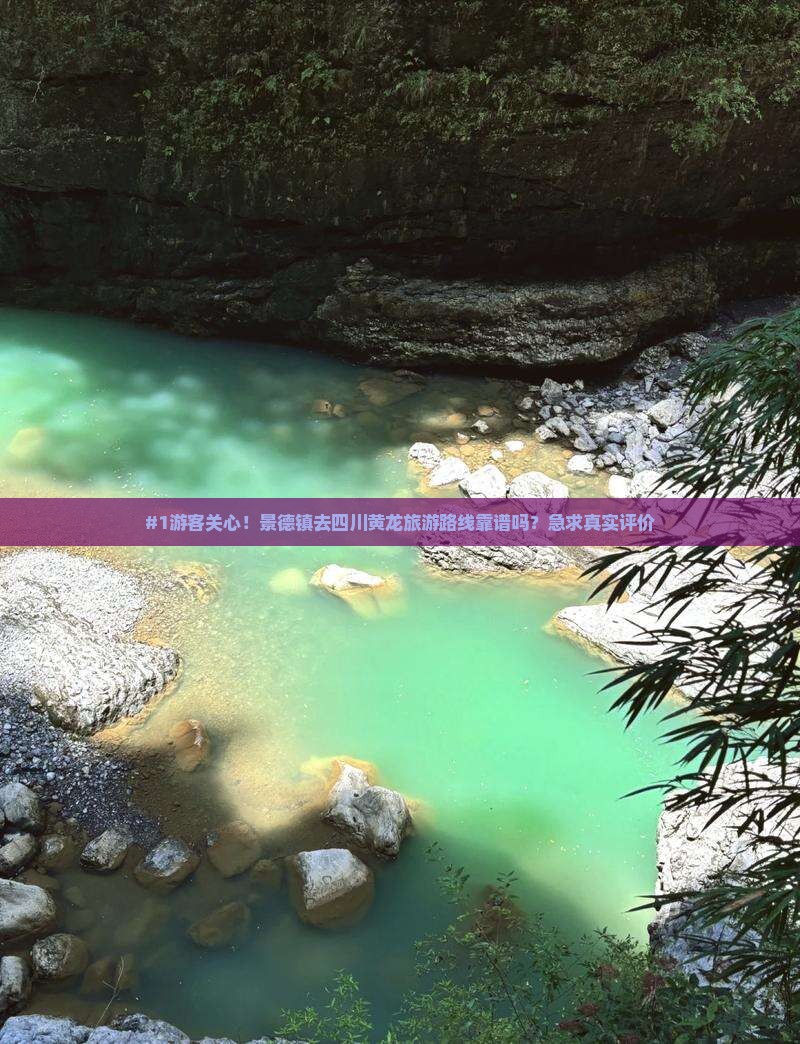 景德镇到四川黄龙旅行社