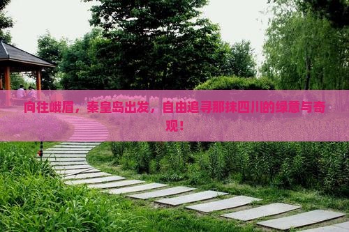 秦皇岛去四川峨眉山自由团