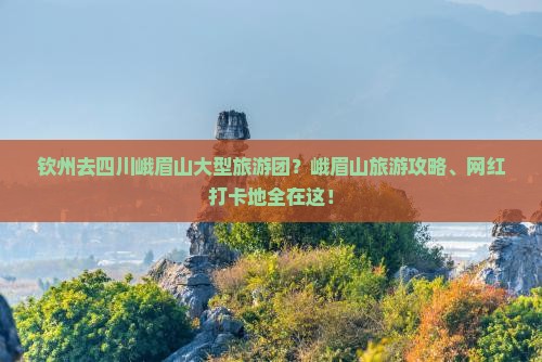 钦州去四川峨眉山大型旅游团