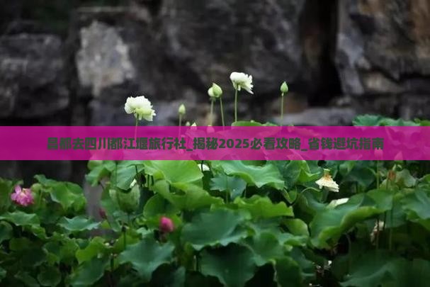 昌都去四川都江堰旅行社
